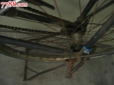 大金鹿自行車 800元零售價(jià)背后的收藏與實(shí)用價(jià)值